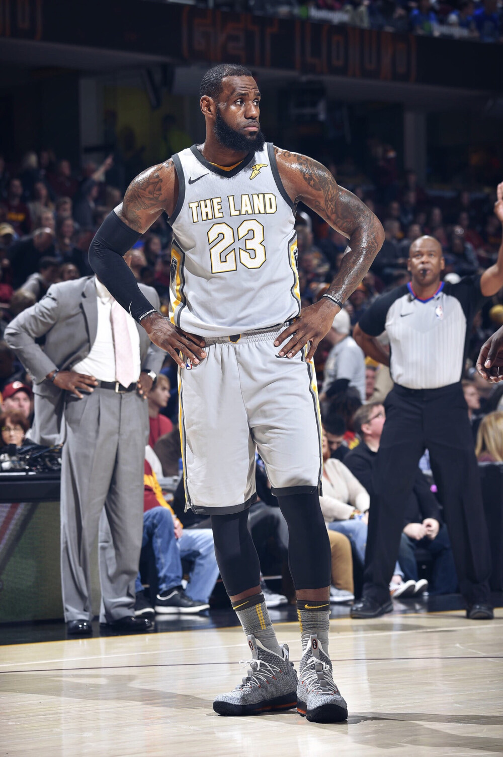 势回暖与轮 势回暖与轮